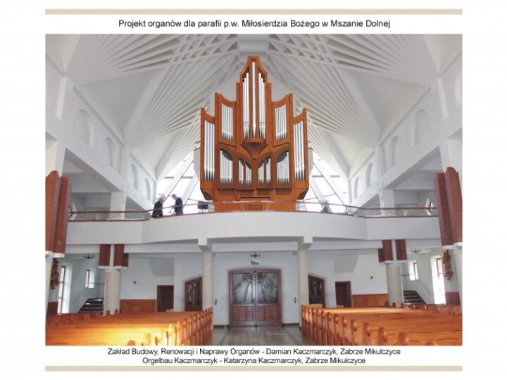Budowa organów